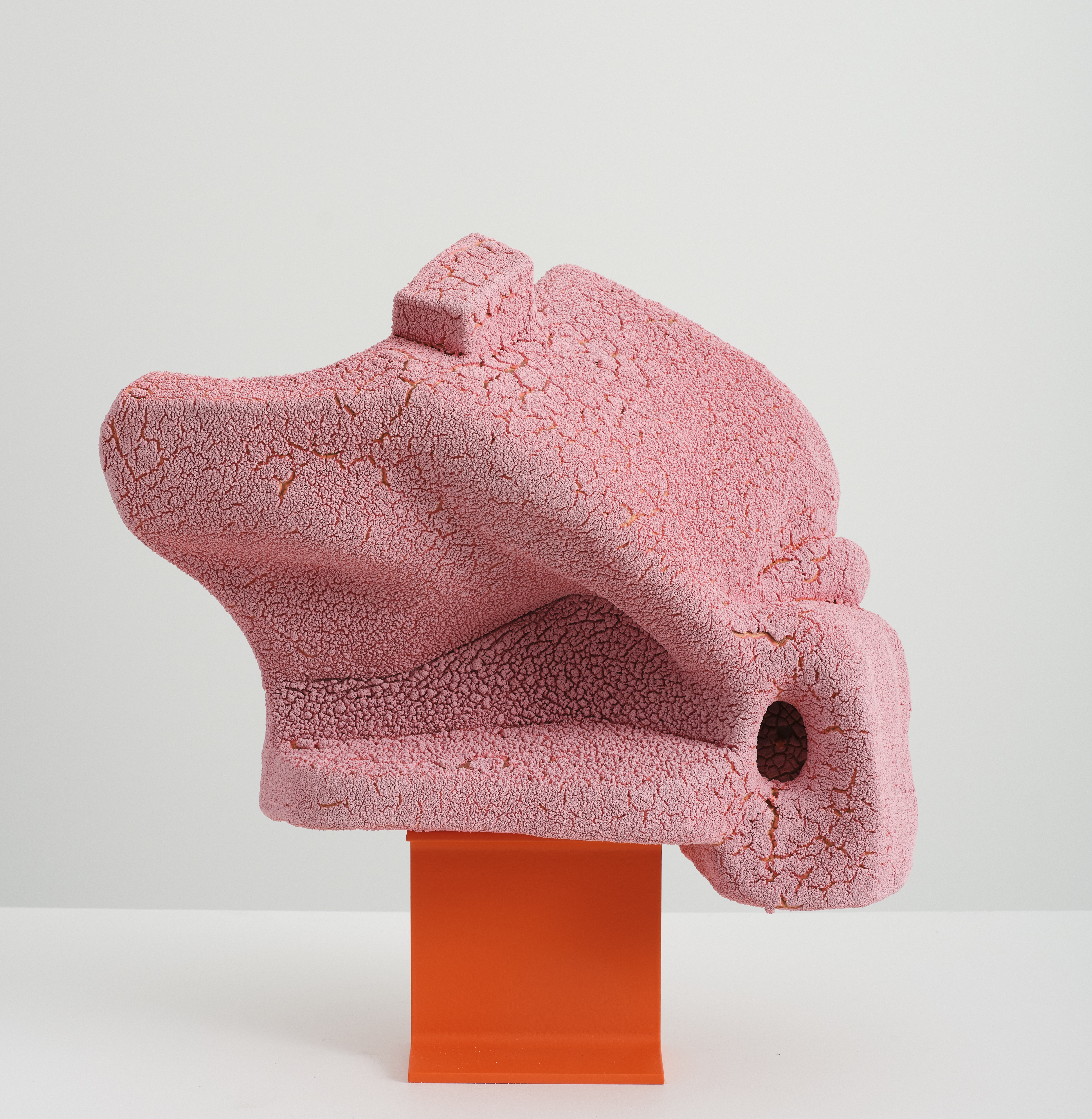 oeuvre Together: Pink and Orange Arlene Shechet